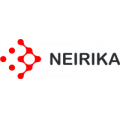 Neirika, ИТ-услуги
